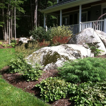 Back Yard Sanctuary