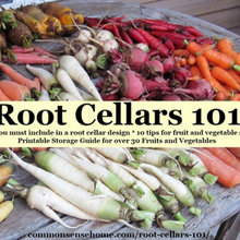 Root Cellar