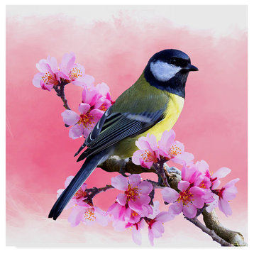 "Spring Bird 3A" by Ata Alishahi, Canvas Art, 35"x35"