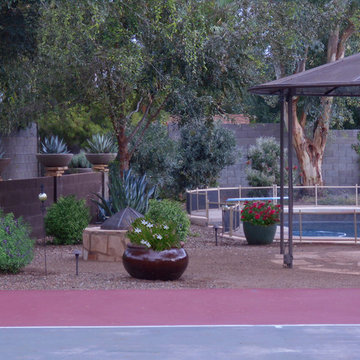 Potted Plant Mix and Fire Pit