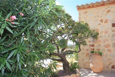 Finca familiale