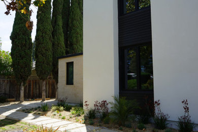 Inspiration for a mid-sized drought-tolerant and partial sun front yard concrete paver garden path in San Francisco.