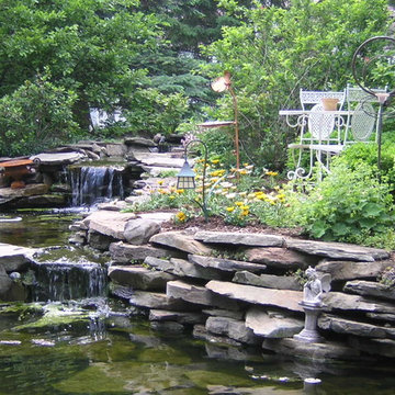 Koi Pond