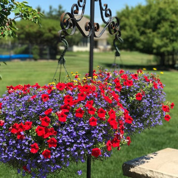 Plantings