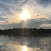 Julie B's photo