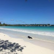 Judith Stewart's photo