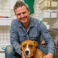 Chris Westall Murals & Trompe L'Oeil's profile photo