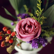 Zahra'a Ziedさんの写真