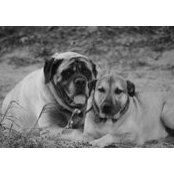 Shanon Lockhart's photo