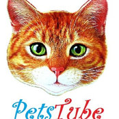 pets Tube's photo