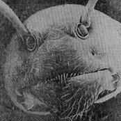 Foto von Aron Horvath