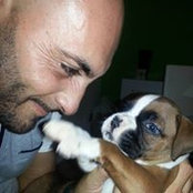 Francesco Buchicchio's photo