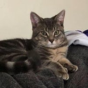 Shannon Evs's photo