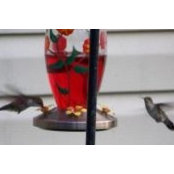 Lynne Hettenbaugh Moore's photo