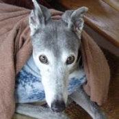 Bev Doan's photo