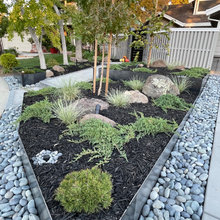 Yard Plantings