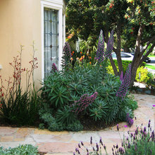 Garden reworking