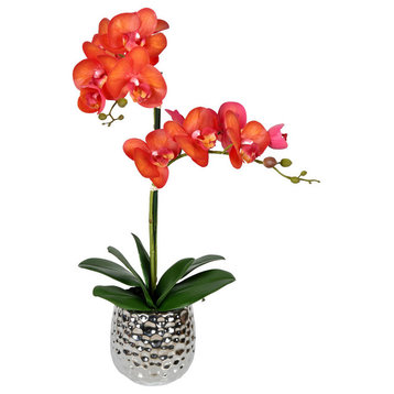 Vickerman 20.5" Artificial Potted Real Touch Orange Phalaenopsis Spray