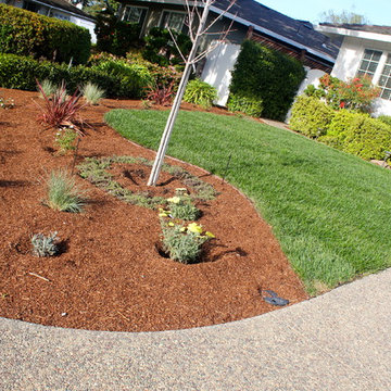 Our Work