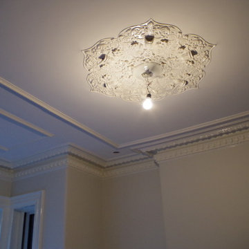 Plaster Crown and Medallion Restoration