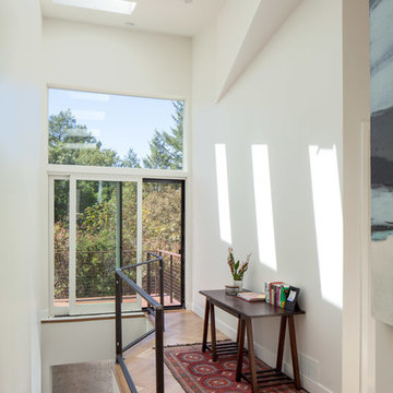 Modern home with woods view