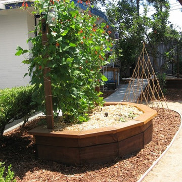 Lawn Replacement Edible Landscape