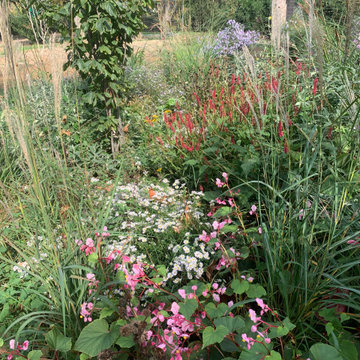 GIARDINO di design naturalistico