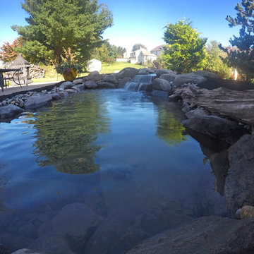 Small Backyard Pond