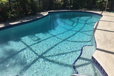 Pool - pool idea in Tampa