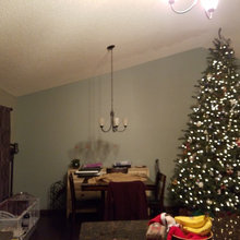 cyndi_steinke's ideas