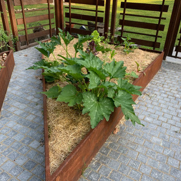 Vegetable Garden
