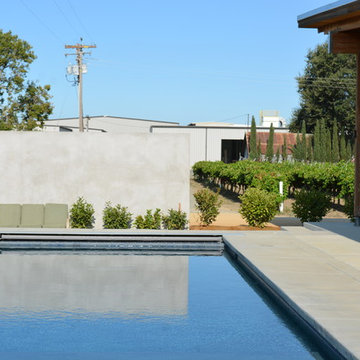 Contemporary Vineyard Pool