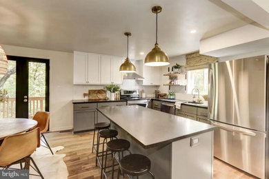 Kitchen - contemporary kitchen idea in DC Metro