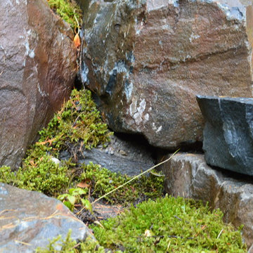 Mountain Side Fire Pit and Creek