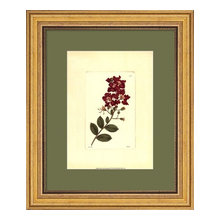 framed art and prints
