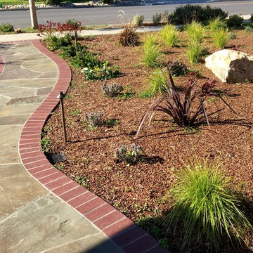 From Weeds to Welcome Home!