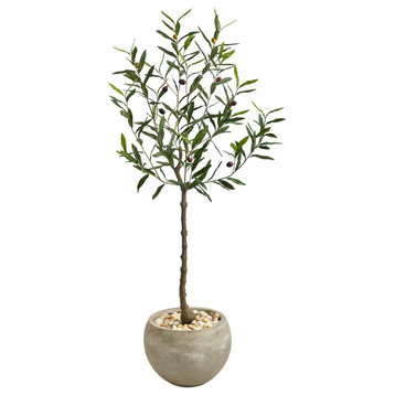50" Olive Artificial Tree, Sand Colored Planter