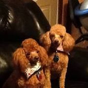 Jaynee Herren's photo