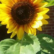Norma Teran-Henderson's photo