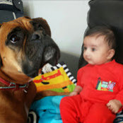 Kiran Mander's photo