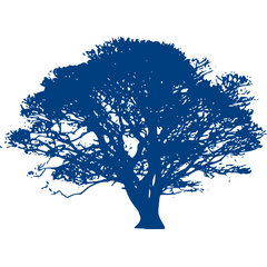 OC Ventures, Inc