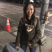 Nancy Cheng's photo