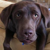 Heather Nicholson's photo