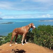 Joanna Weyand's photo
