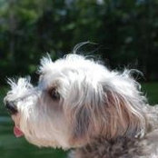 Sara Seeger's photo
