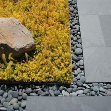 Landscape Ideas