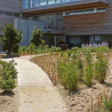 Exterior Ideas