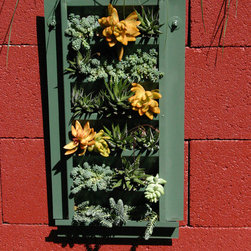 Succulent Wall for Del Mar Home Garden Show 2012 - Outdoor Pots And Planters