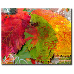 Ready2HangArt - Fall Ink VI, Canvas Wall Art, 24"x32" - Add the splendor of Fall to your space with this effervescent canvas. A triad of serrated foliage lay purposeless, carpeting the stone ground with a harvest of autumnal hues. Handcrafted in the U.S.A., this gallery wrapped canvas art arrives ready to hang on your wall. Refine your space with an art piece from Ready2HangArt's ?Fall Ink? collection, which will effortlessly bring a warm essence of autumn to any style of decor.
