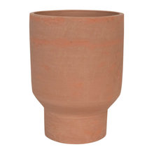 Plants And Pots